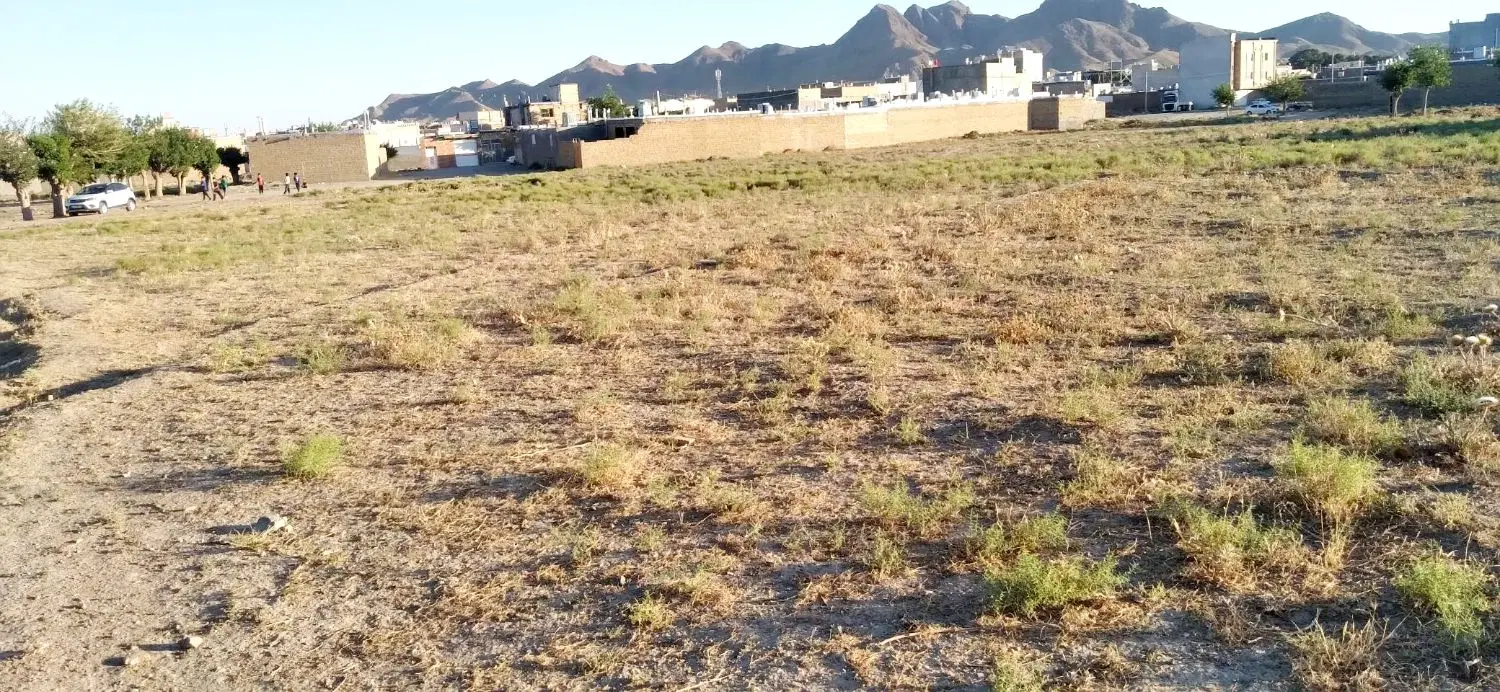زمین برای ساخت یا سرمایه گذاری