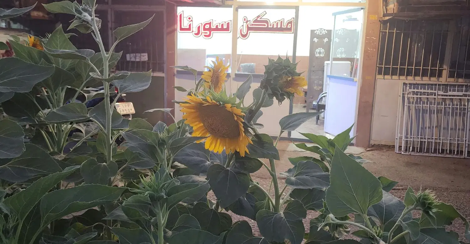 آپارتمان ۴۵ متری