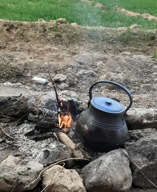 همخونه