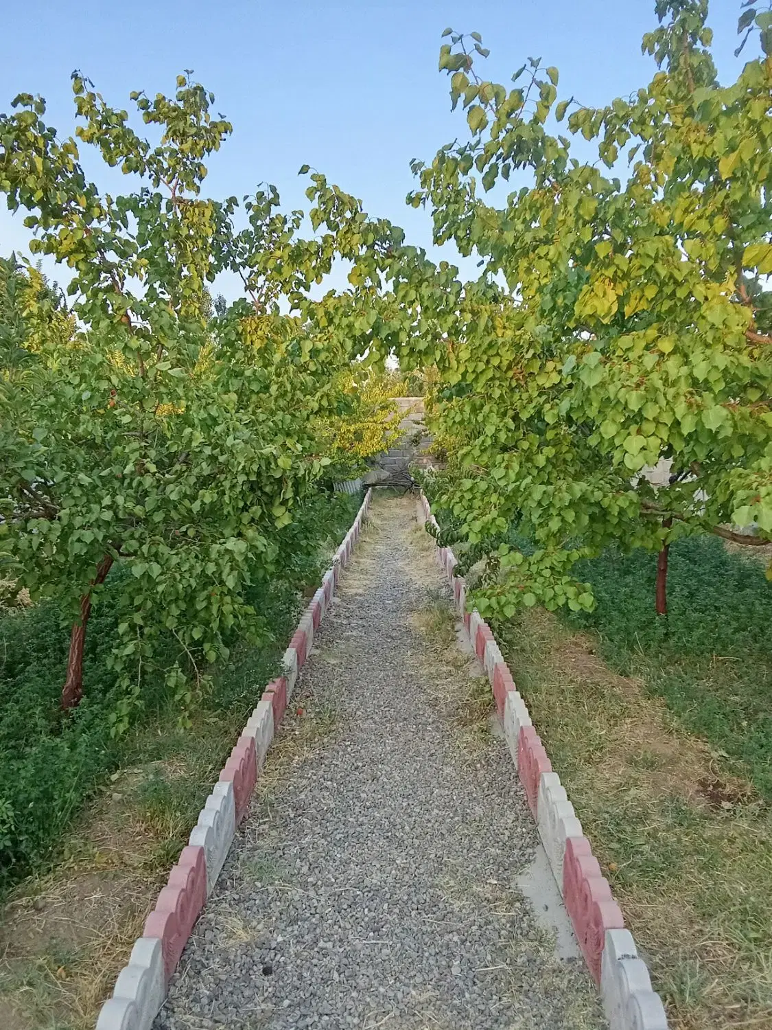 باغ ویلا ملایوسف