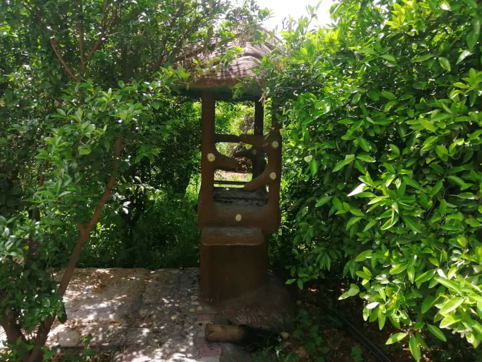 باغ ۱۵۰۰ متری با استخر و مرکبات ایذه