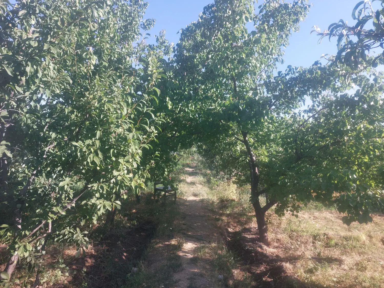 خانه روستایی کلنگی قابل نشیمن روستای گلمانخانه