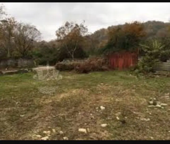 زمین کشاورزی