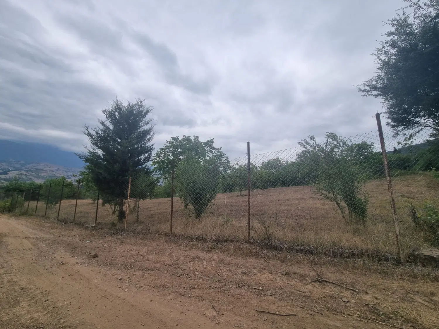 باغ ۵۰۰۰ متری با ۵۰ اصله گردو ویوی درفک مناسب ویلا