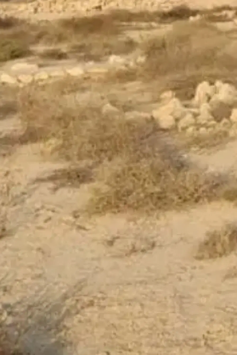 فروش زمین