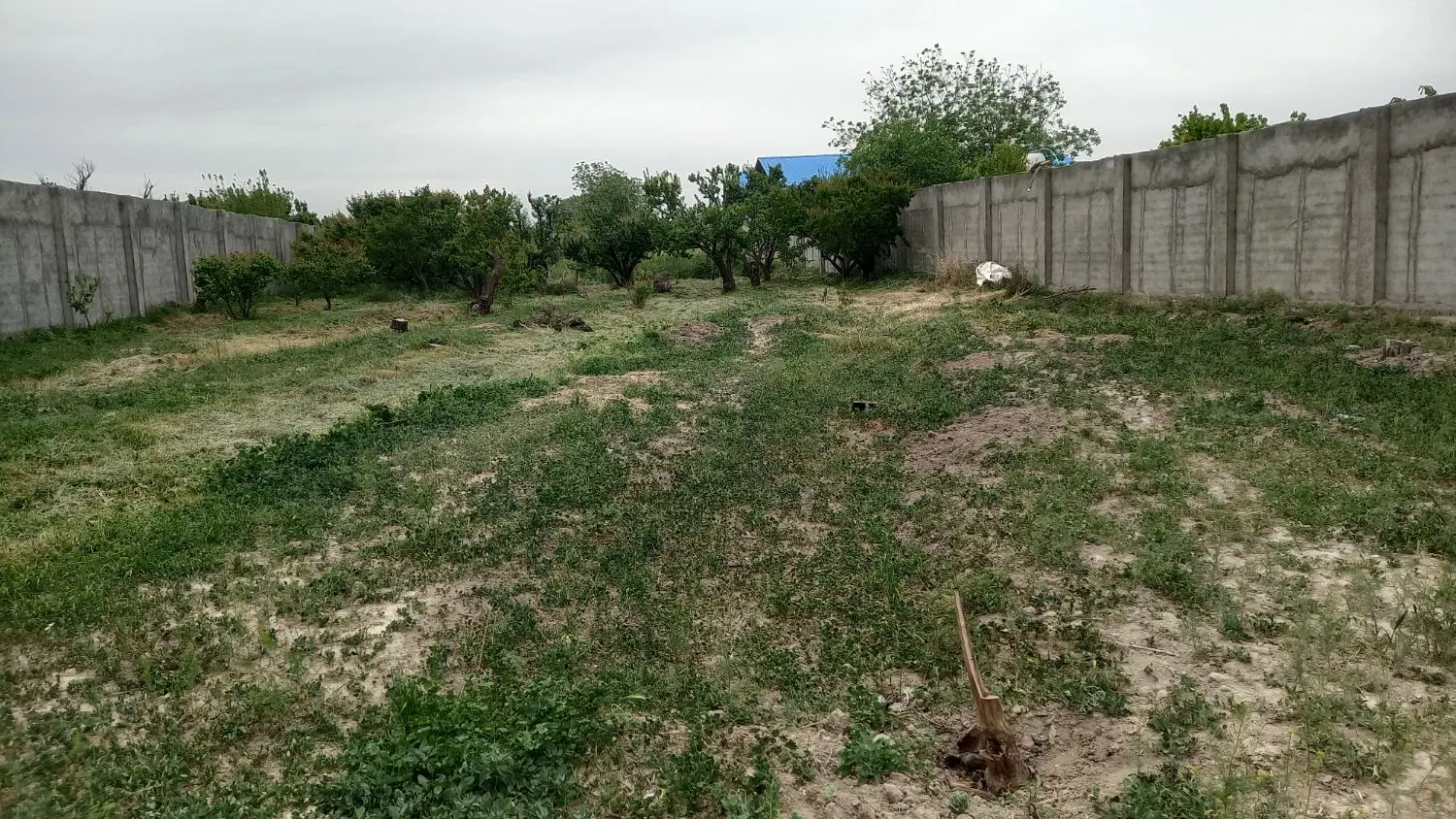 زمین فروشی