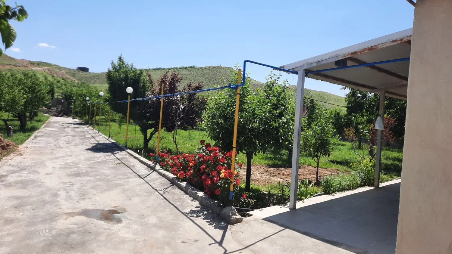 باغ در روستای شوردرق