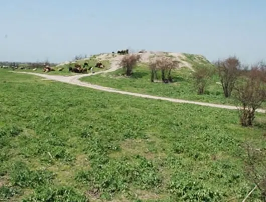 اجاره یکساله زمین کشاورزی دوهکتارو خوردهای