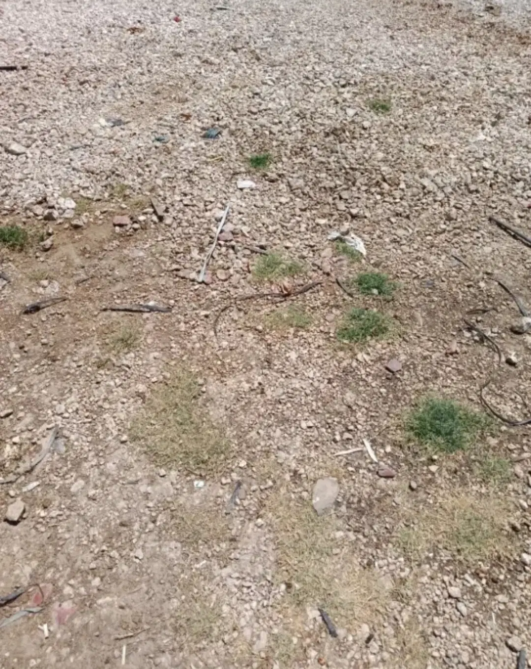 فروش زمین مسکونی هماشهر