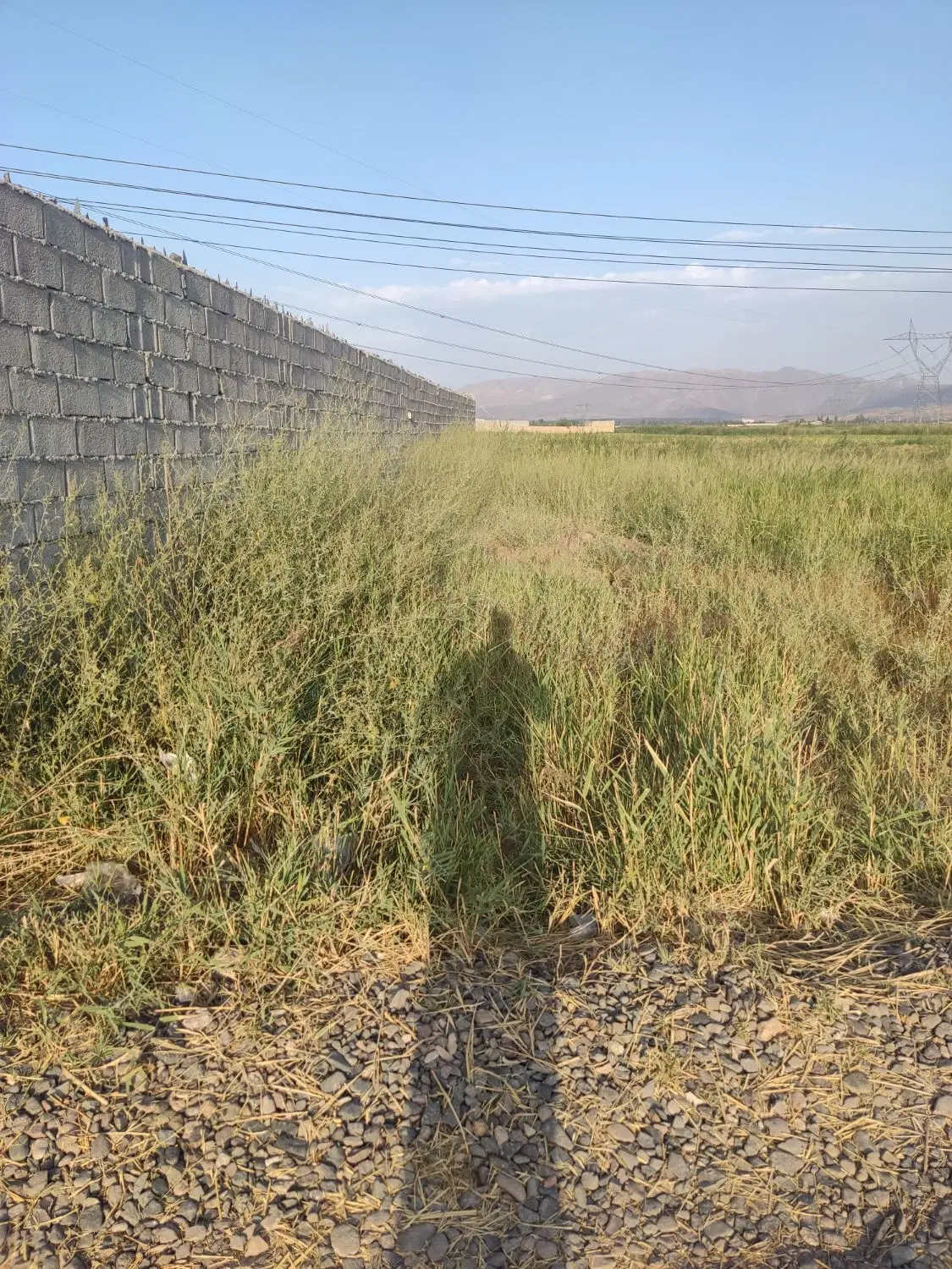 زمین باغی