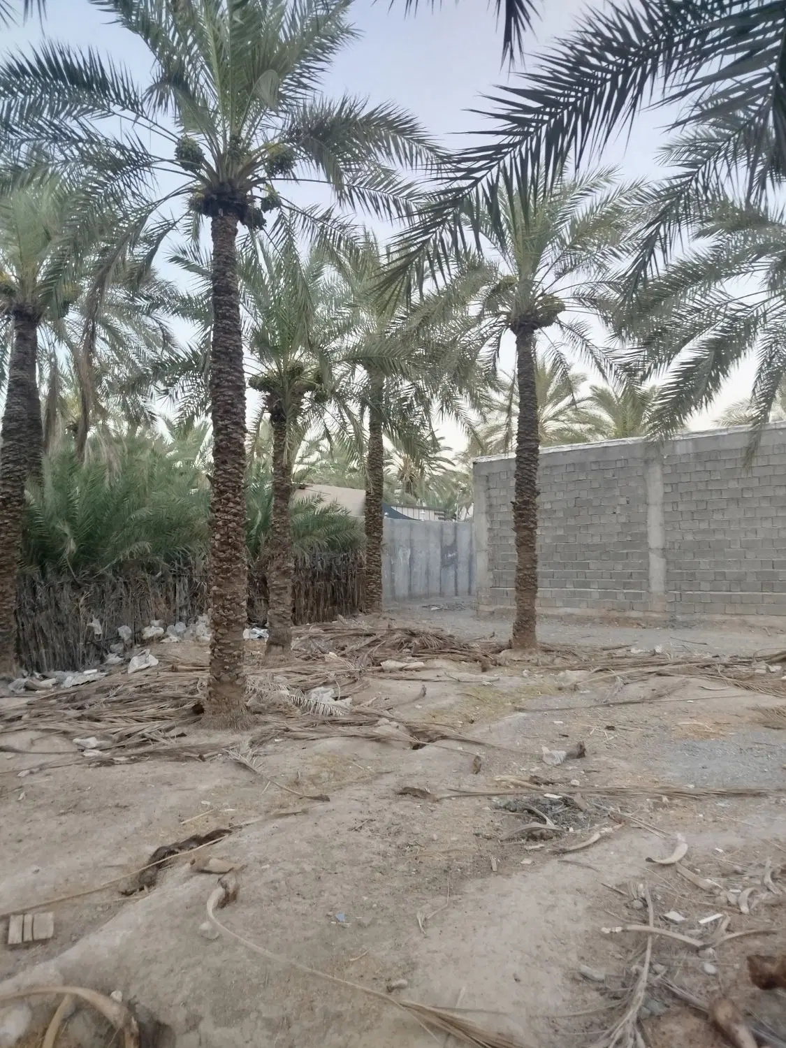 فروش زمین