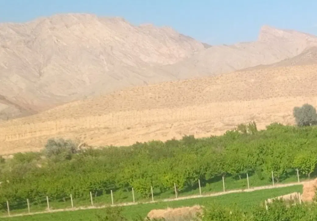 فروش باغ در سیه رود