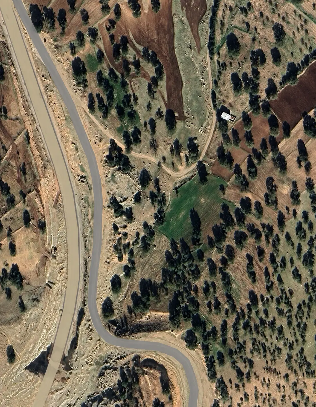 زمین کشاورزی