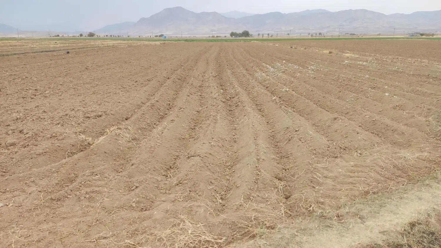 زمین دیم برای اجاره