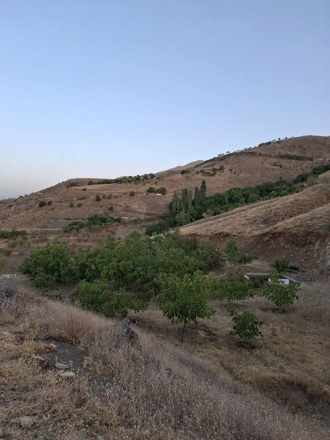فروش باغ ۵۰۰۰ متری با خانه‌باغ مجوزدار و استخر