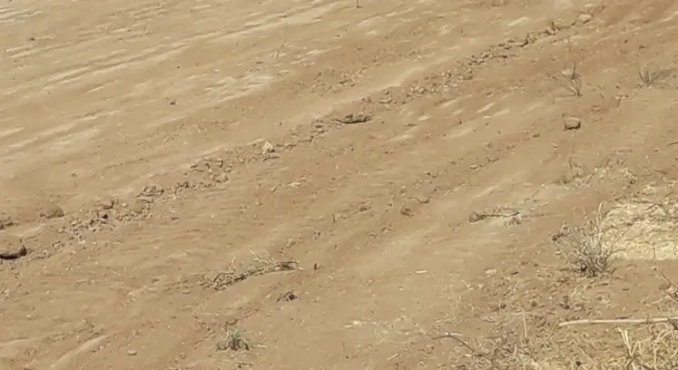 فروش زمین مسکونی درگل تپه