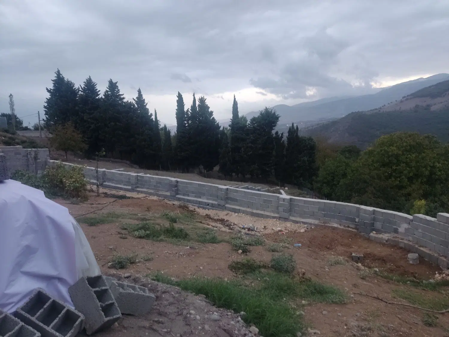 زمین