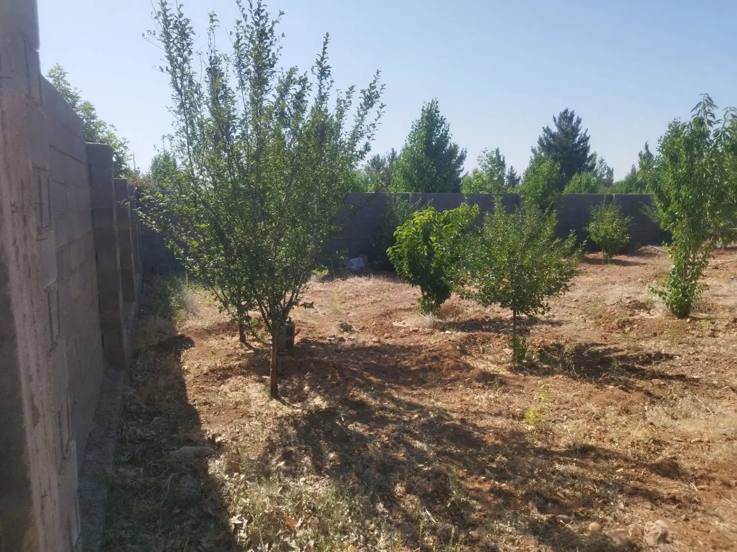 کودیان باغشهری و باغ