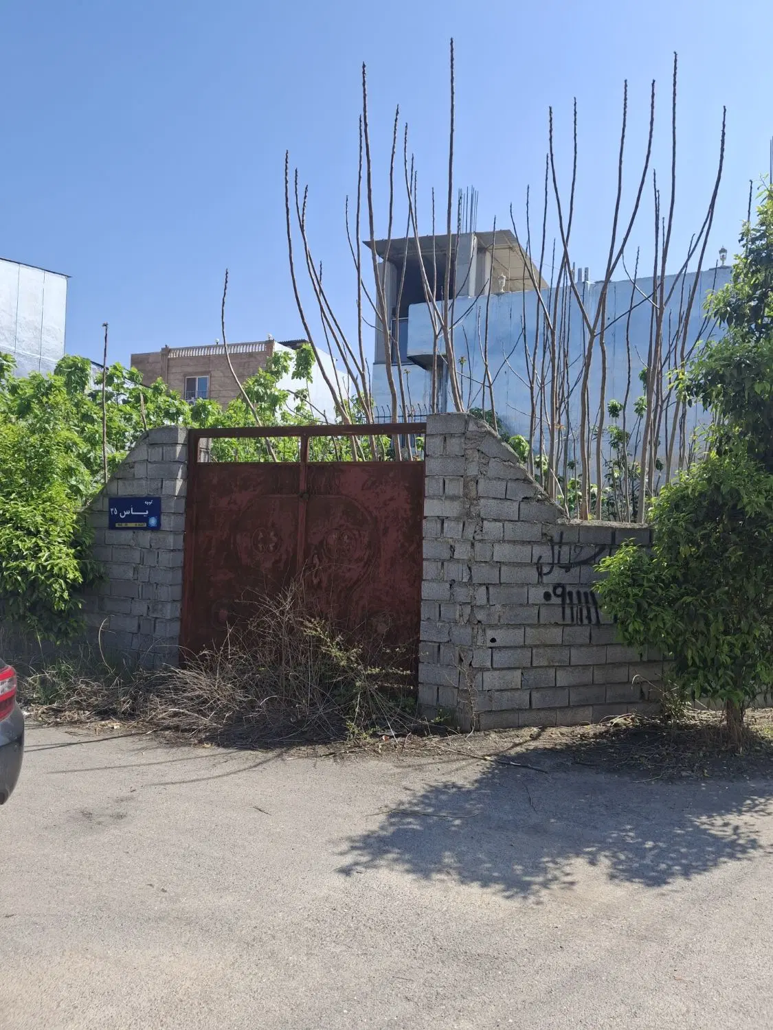 زمین ۲۵۰ متر دو نبش بافت