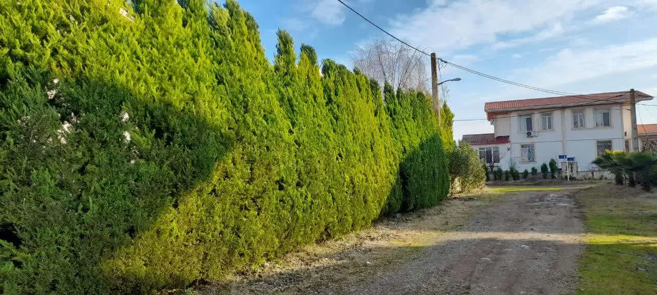 فروش زمین ویلایی ۳۷۹ متر شهرک آرامیس چاف و چمخاله