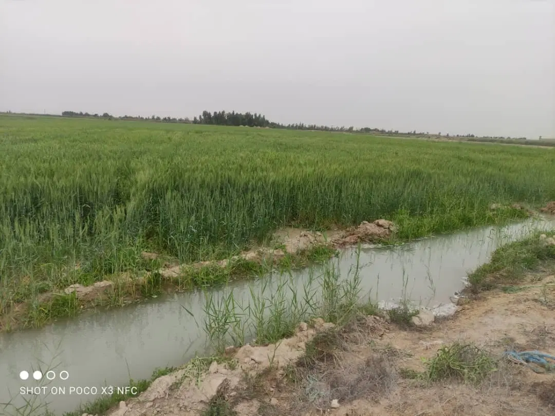 زمین کشاورزی