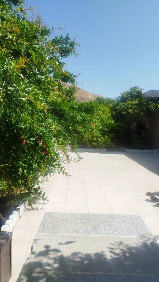 زمین مسکونی