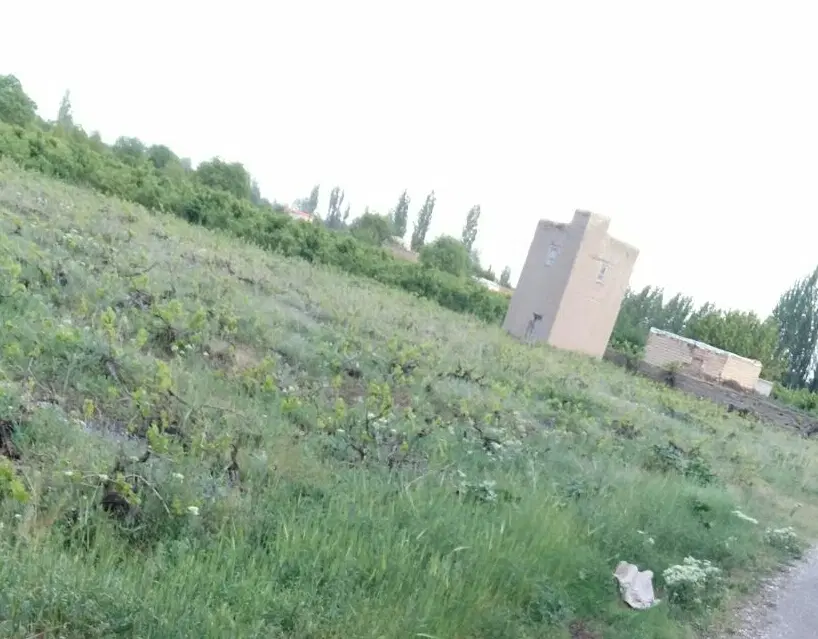 فروش باغ انگور