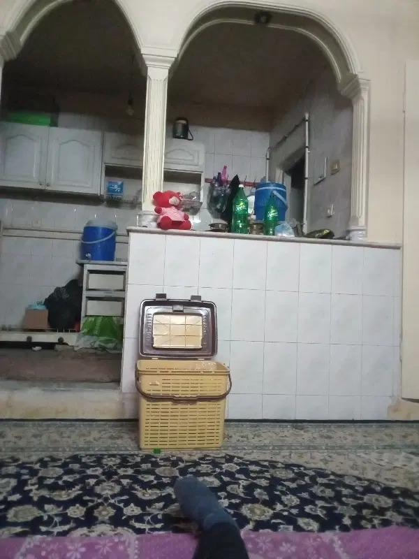 همخونه