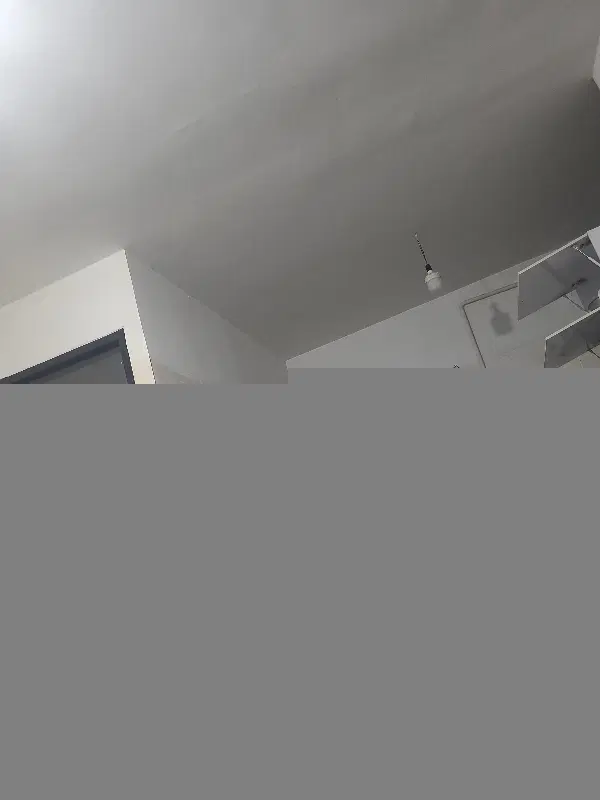 همخونه خانم