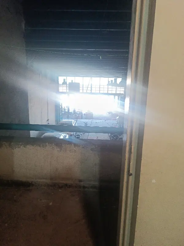 اجاره جای دوپالت
