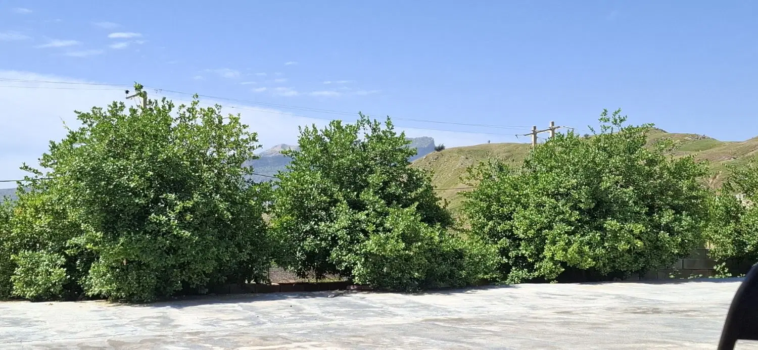 زمین درگورک جمال