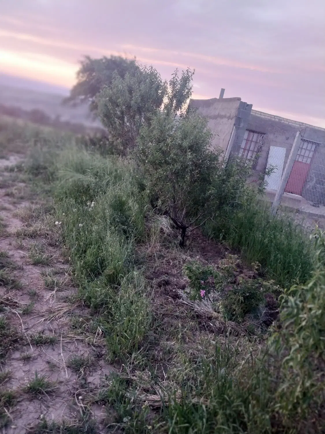 فروش زمین در جاده قدیم  روستای گلی
