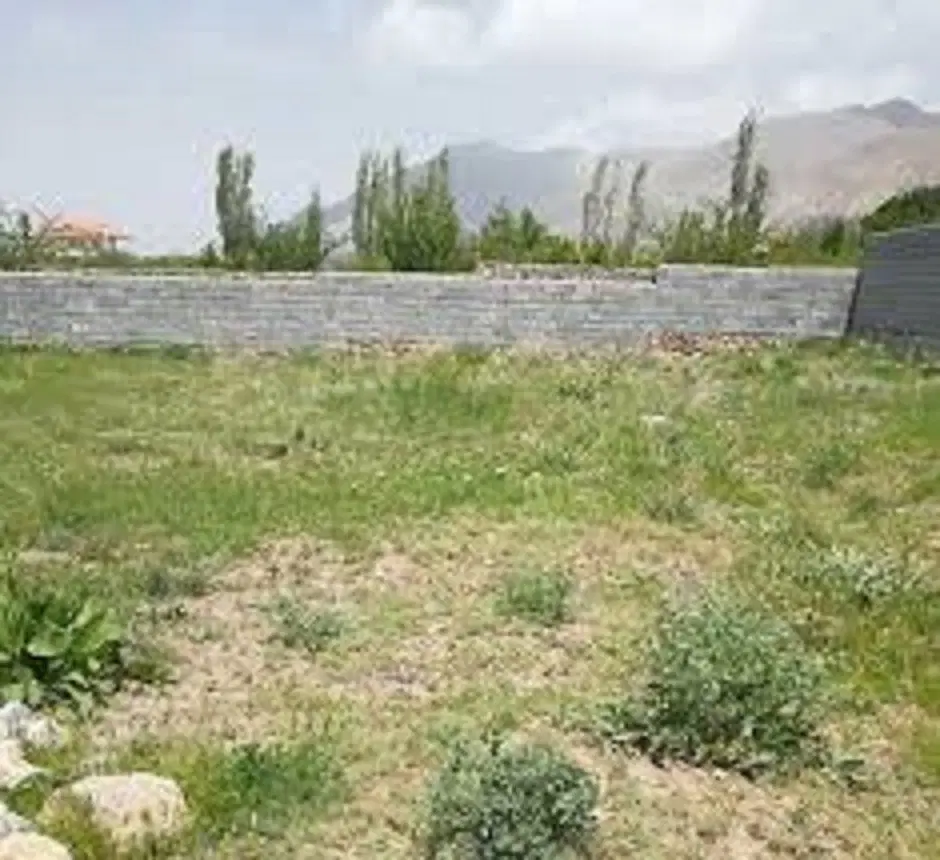 فروش 2 قطعه زمین در چالوس