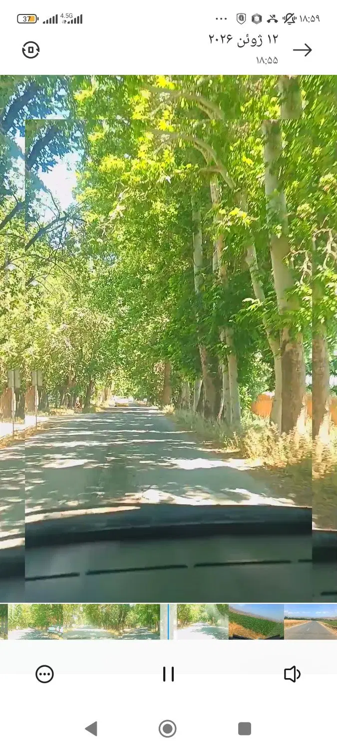 زمین باغی نیستان