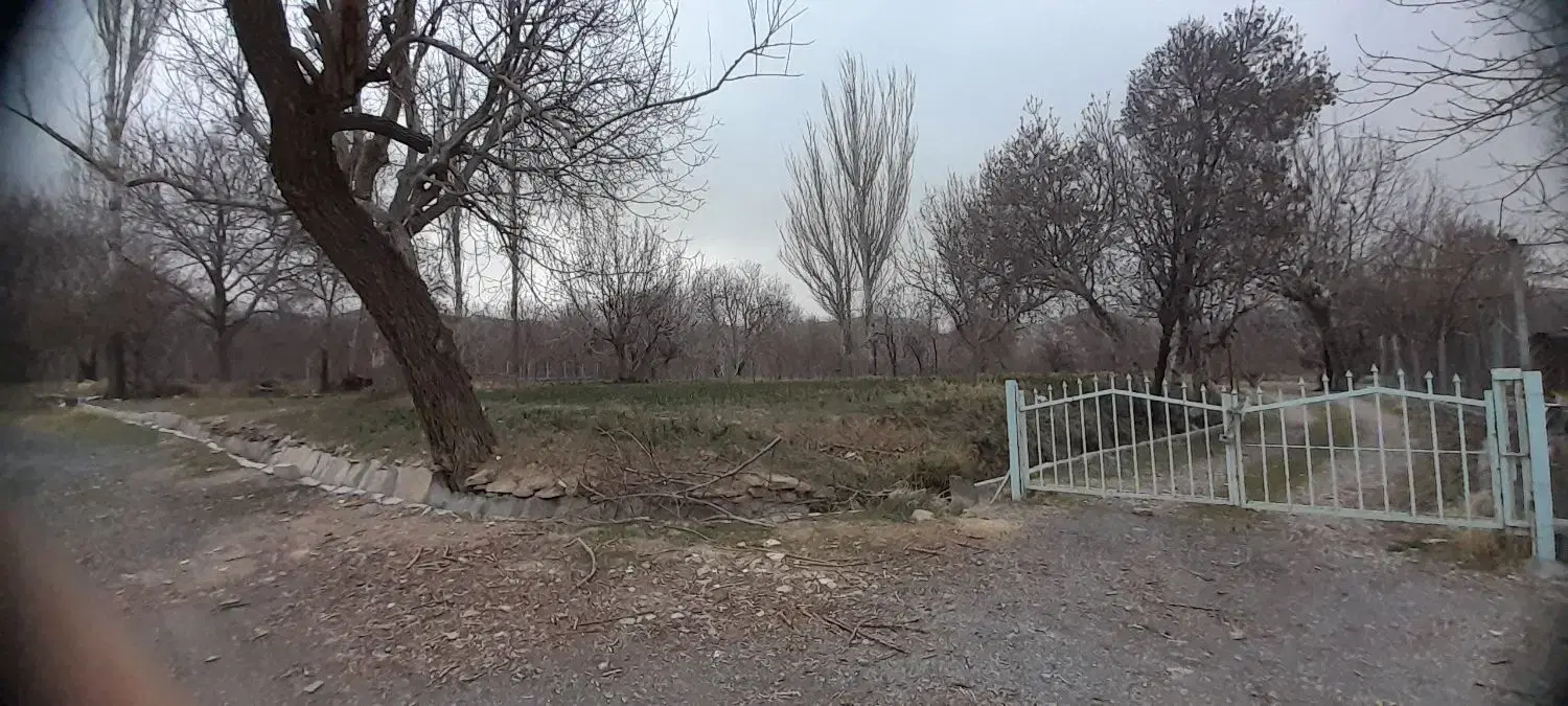 زمین باغی ۲۷۴ متری کرهرود محله سادات  خیابان