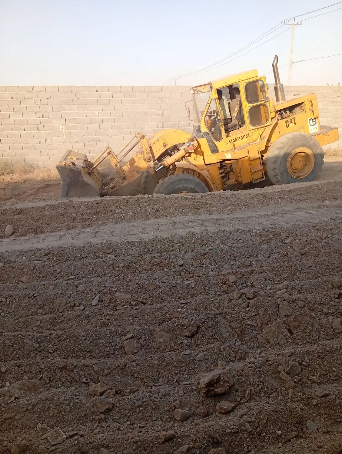 زمین اجاره ای شاندیز