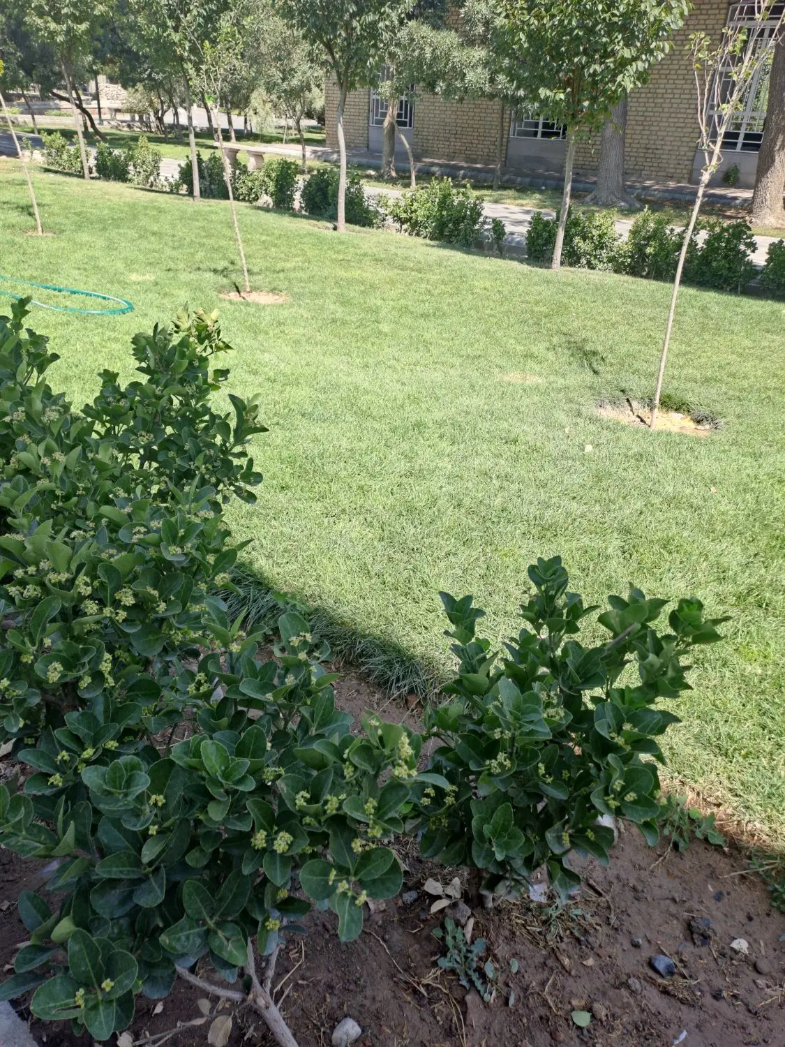 خانه حیاط دار  در بستی
