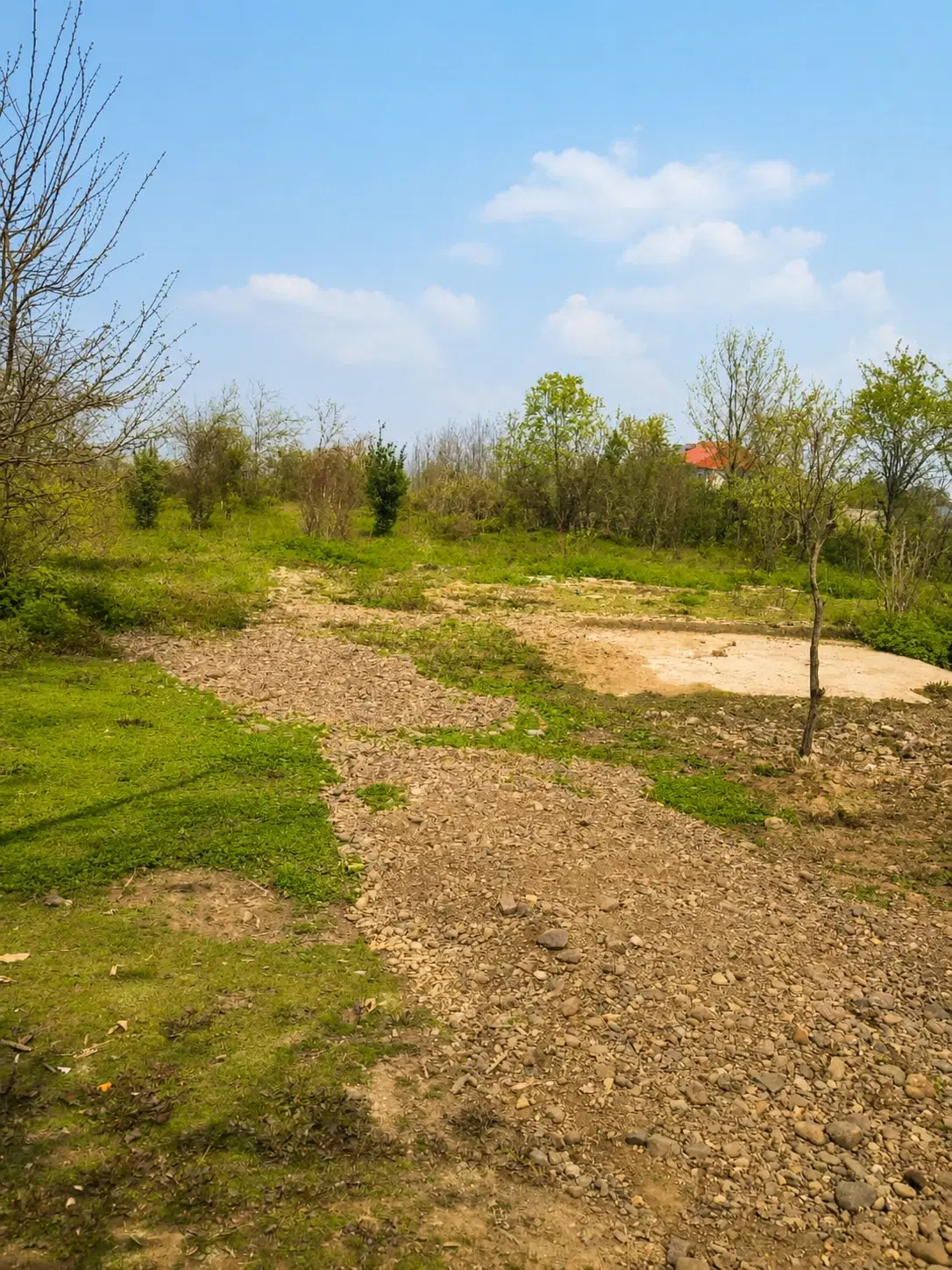 زمین مسکونی مناسب ساخت