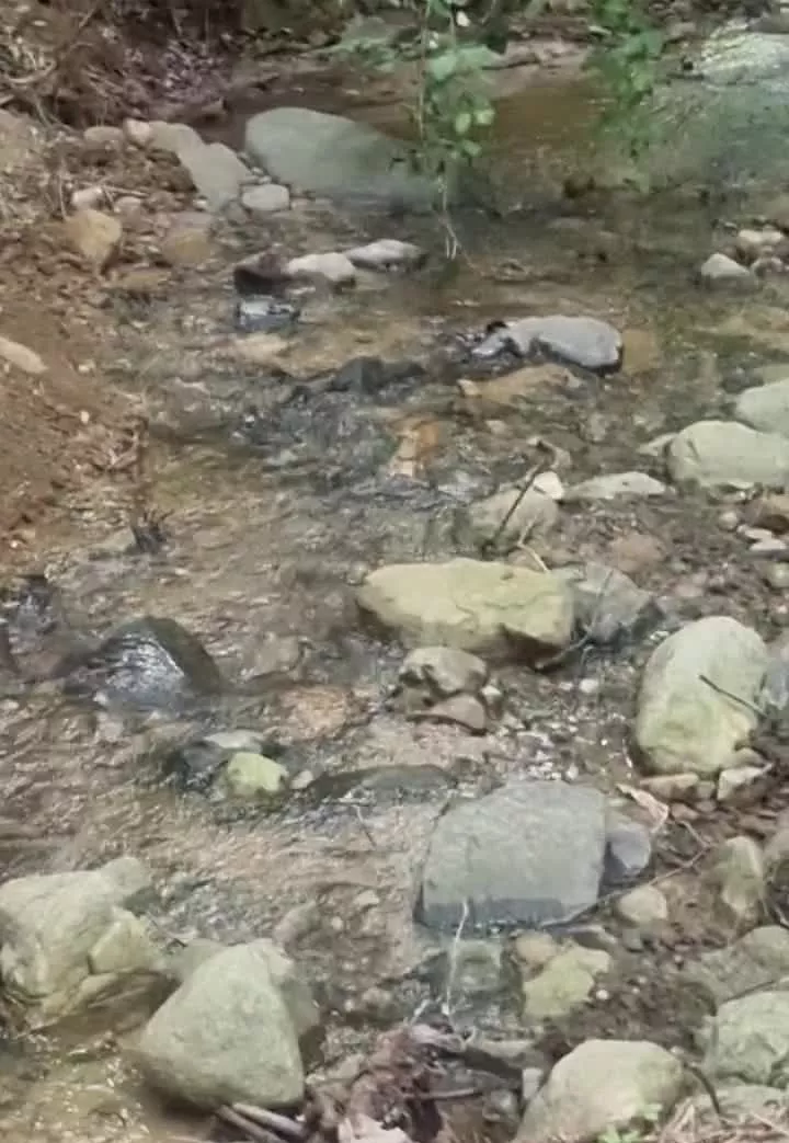 ۳۰۰۰متر زمین کنار رودخانه جمشید اباد