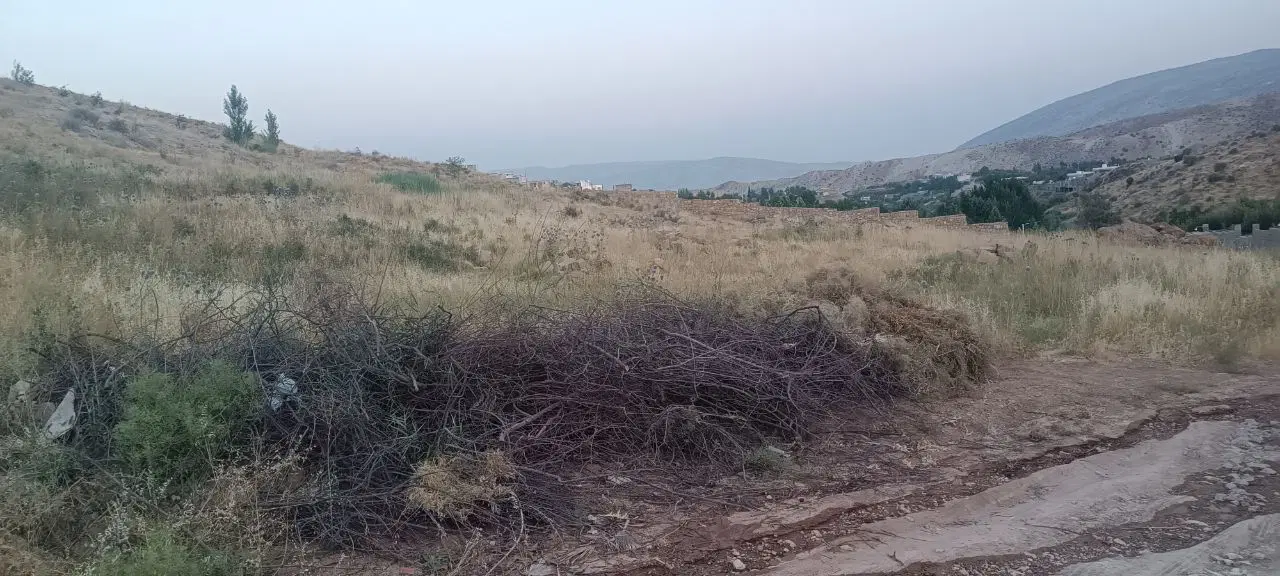 باغ شهری دهشیخ