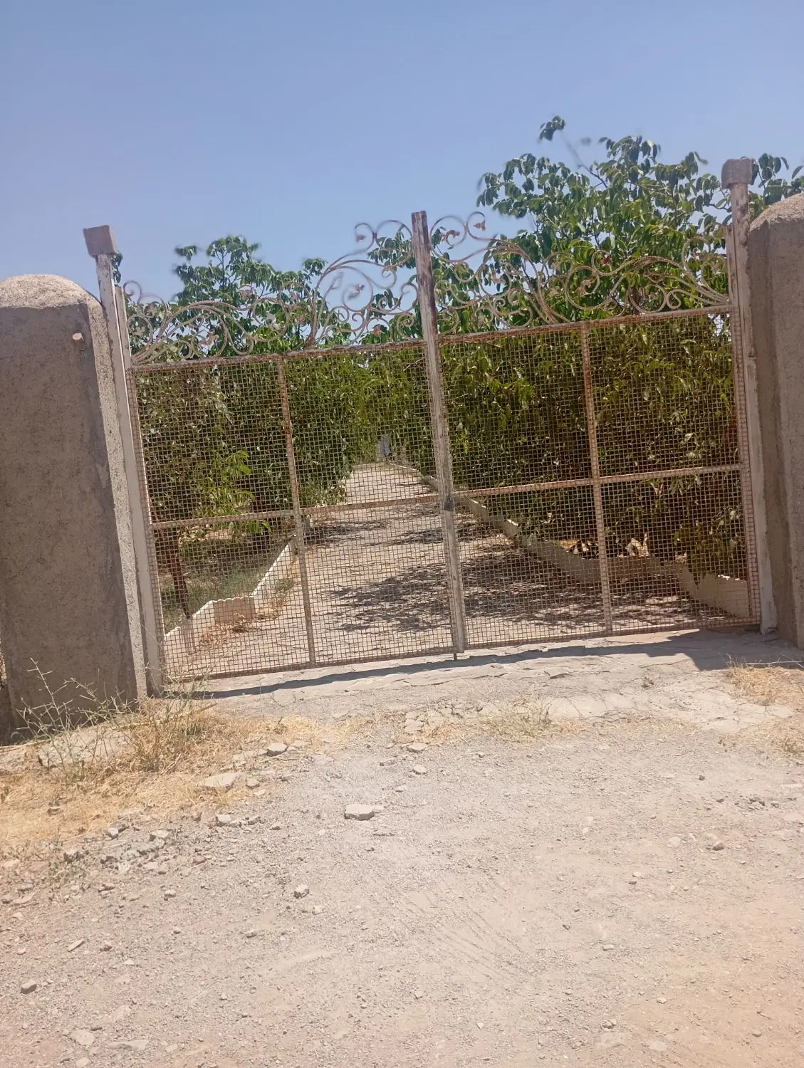 دماوند آبسرد باغ ۱۳۰۰متری سند تک برگ