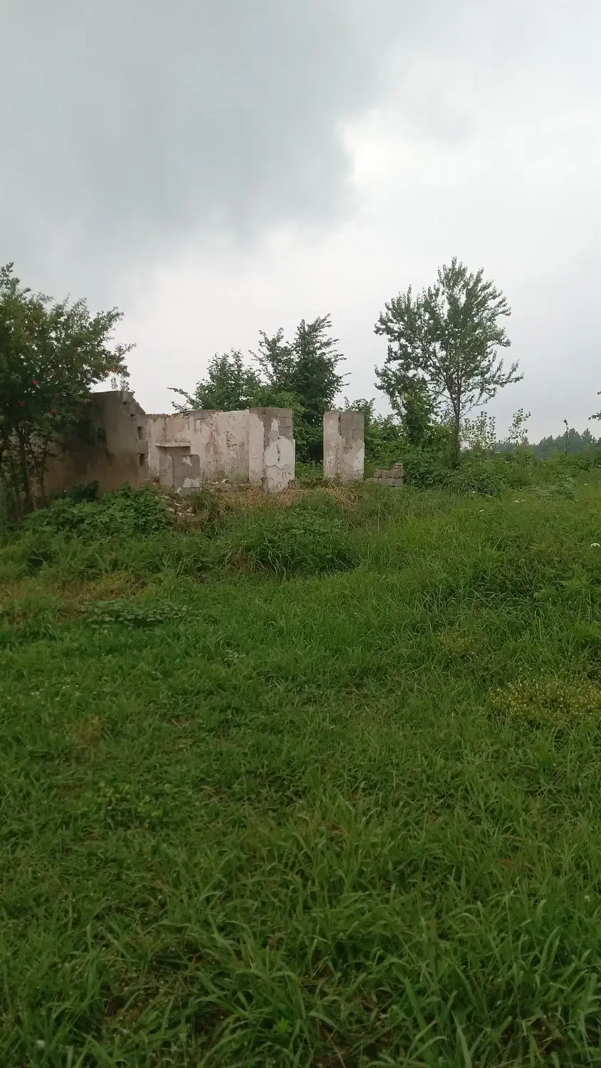 زمین مسکونی 2060 متری کاملا مسکونی با سند تک برگ