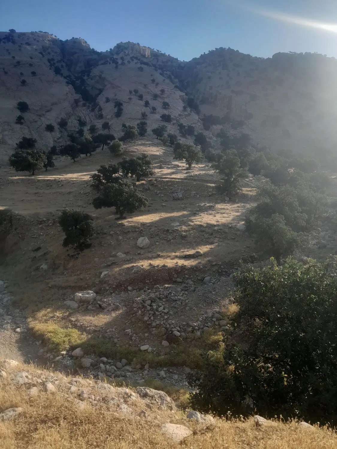 زمین سرسرباز، سیاه منصور