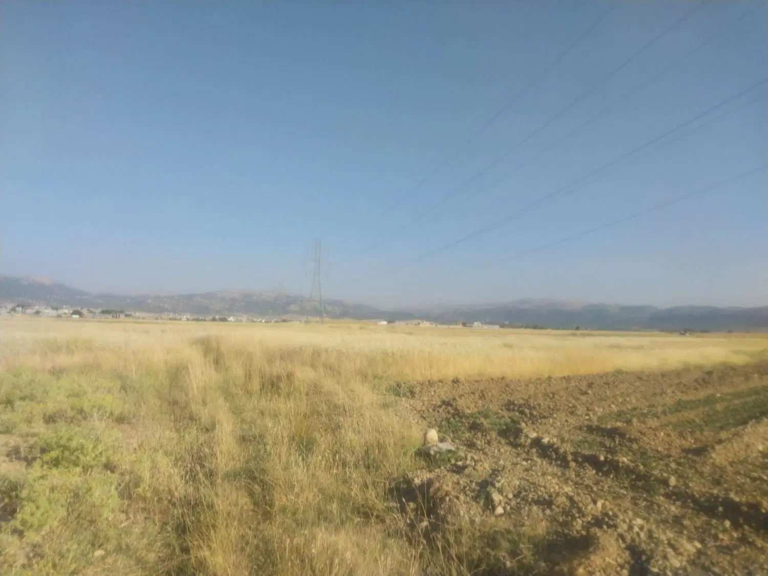 ۲۵۰ متر زمین آشی پاشی