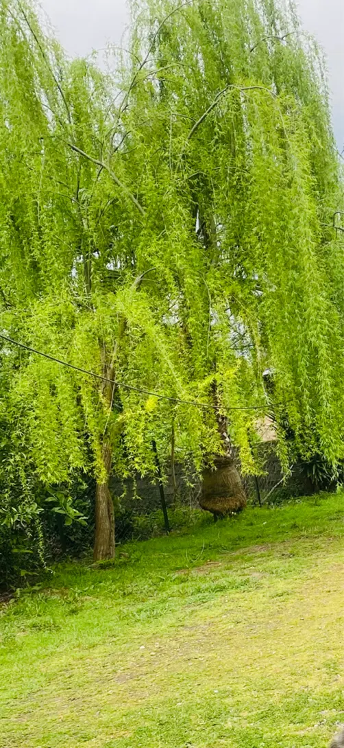 ویلا ۵کیلومتری لاهیجان