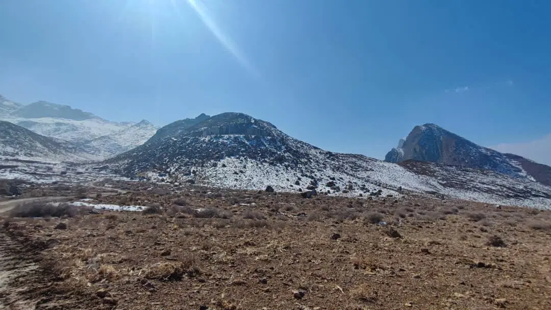 سهام زمین های براوستان دادگستری