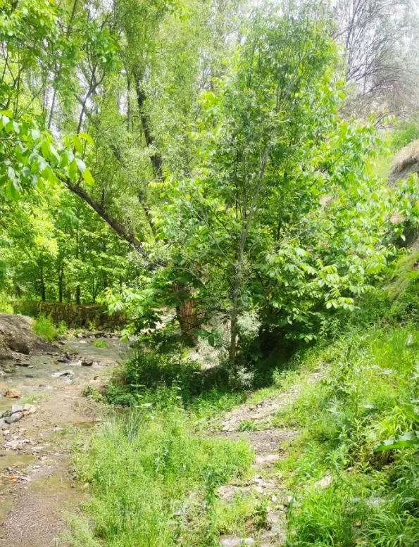 ۵۲۵ متر_ دو نبش _ ویلاشهر _ امام رضا زوج
