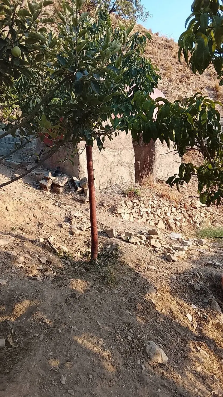 پردیس باغ ۴۰۰ متری فاز ۱ دیوارکشی شده