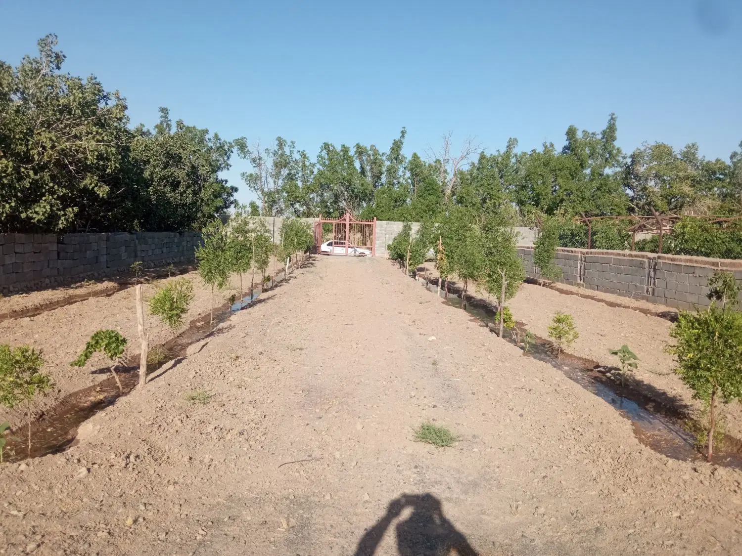 باغ حسین آباد سادات بالای جاده نزدیک به طرح روستا
