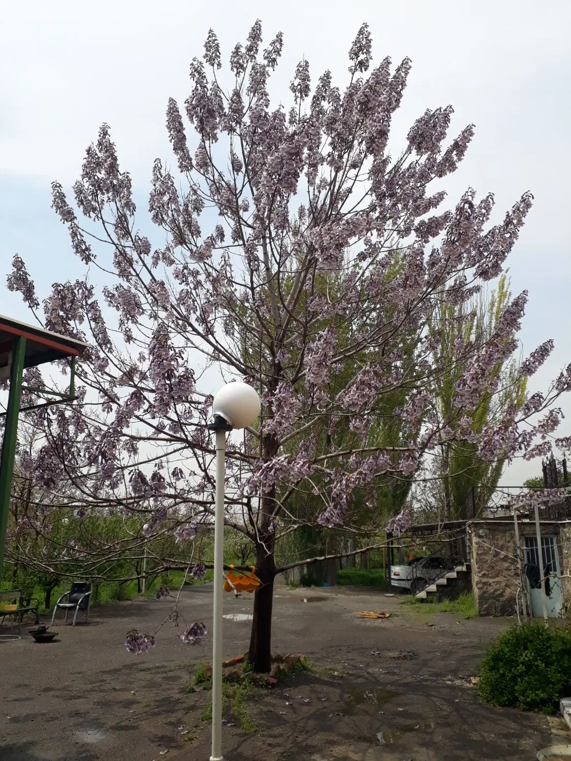 زمین برای انباری